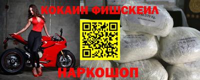 тгк Кингисепп