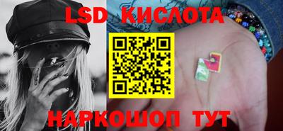 тгк Кингисепп