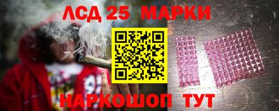 тгк Кингисепп