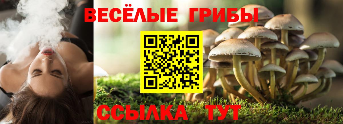 Красный Сулин  Галлюциногенные грибы GOLDEN TEACHER  Псилоцибиновые грибы мухоморы  сколько стоит  Вход с VPN 